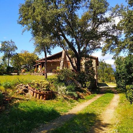 La Simona Casa Rural Пералес-дель-Пуэрто Экстерьер фото